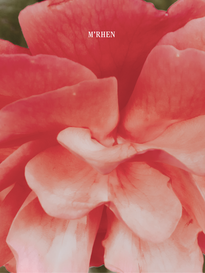 Journal (Coming Soon)